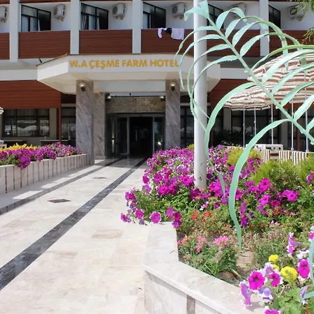 دابليو إيه تشيشمي فارم هوتل بيتش ريزورت آند سبا